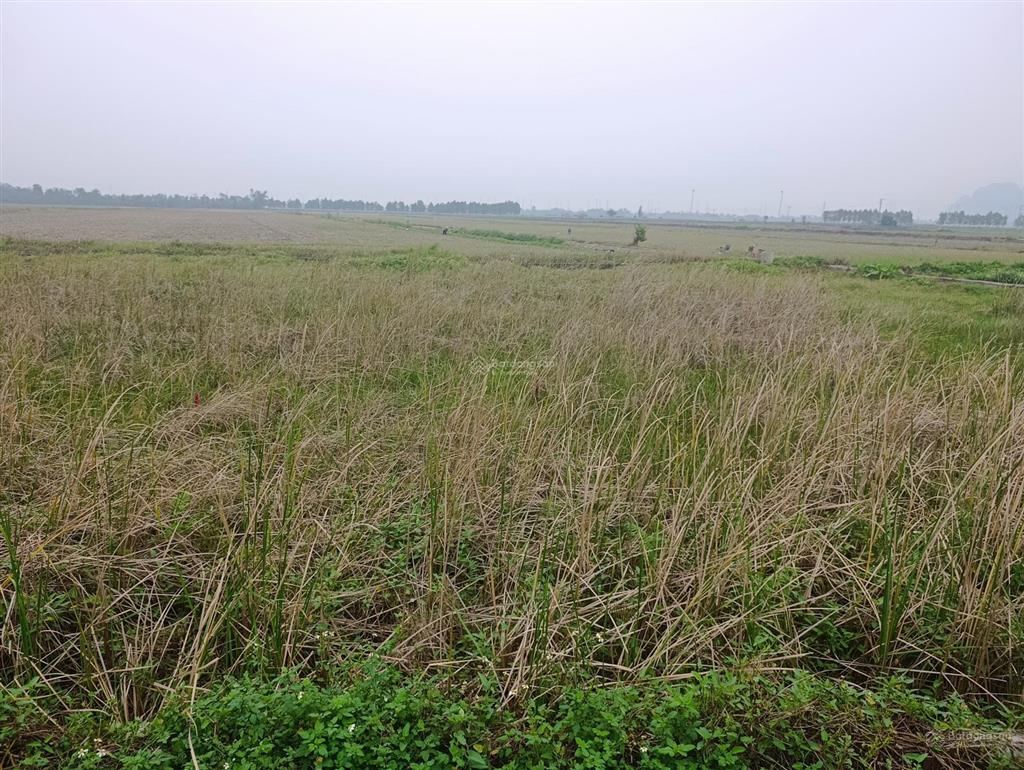 Chính chủ gửi bán lô đất tỉnh lộ 517, thuộc thôn đồng vinh, xã đồng tiến triệu sơn