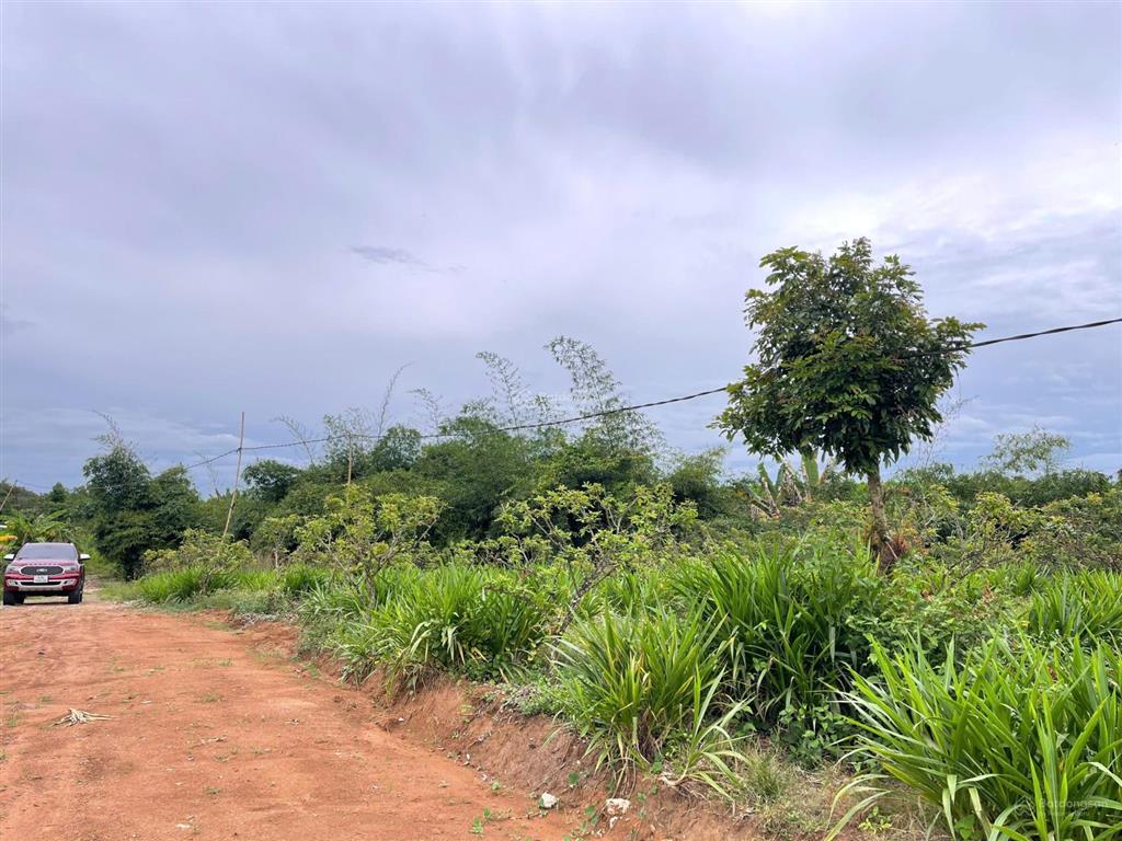 Sốc! 5,9 tỷ  11000m2 đất phủ hồng 300m2 thổ cư, trung tâm xã hòa hội, giá quá rẻ