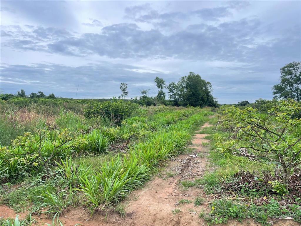 Sốc! 5,9 tỷ  11000m2 đất phủ hồng 300m2 thổ cư, trung tâm xã hòa hội, giá quá rẻ