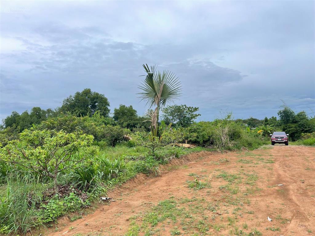 Sốc! 5,9 tỷ  11000m2 đất phủ hồng 300m2 thổ cư, trung tâm xã hòa hội, giá quá rẻ