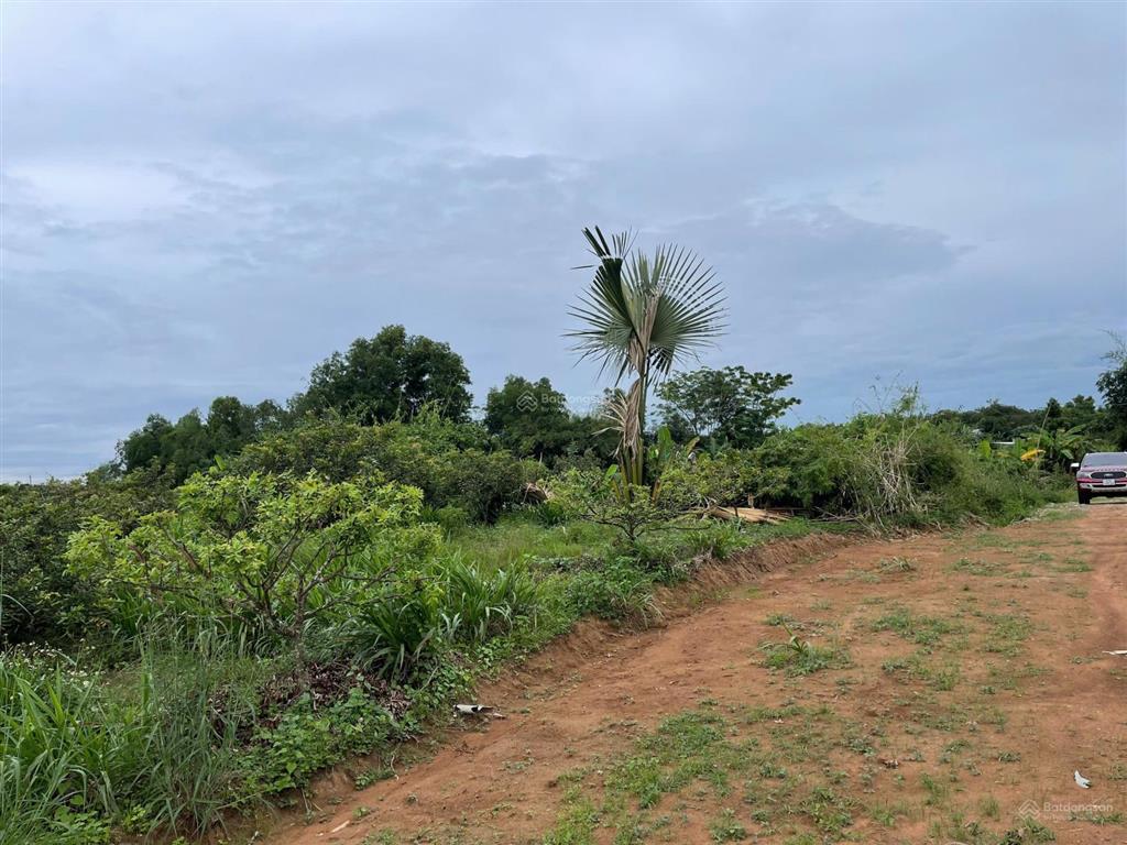 Sốc! 5,9 tỷ  11000m2 đất phủ hồng 300m2 thổ cư, trung tâm xã hòa hội, giá quá rẻ