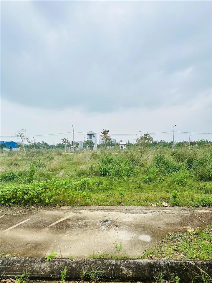 Linh chi tư vấn tận tâm villa  lô góc  lô ống giá từ 5,3  15 tỷ khách lựa chọn nhé