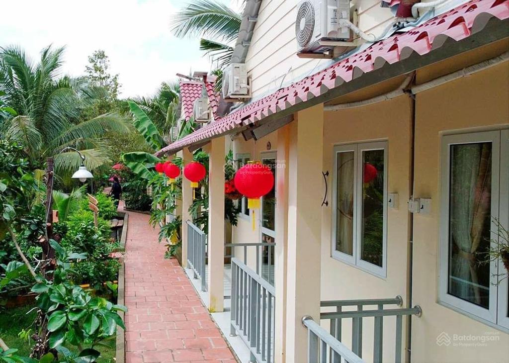 Papa farm riverside khu vườn của ba hạnh phúc cho cả nhà đất vườn mt sông thành triệu 1,2 ha