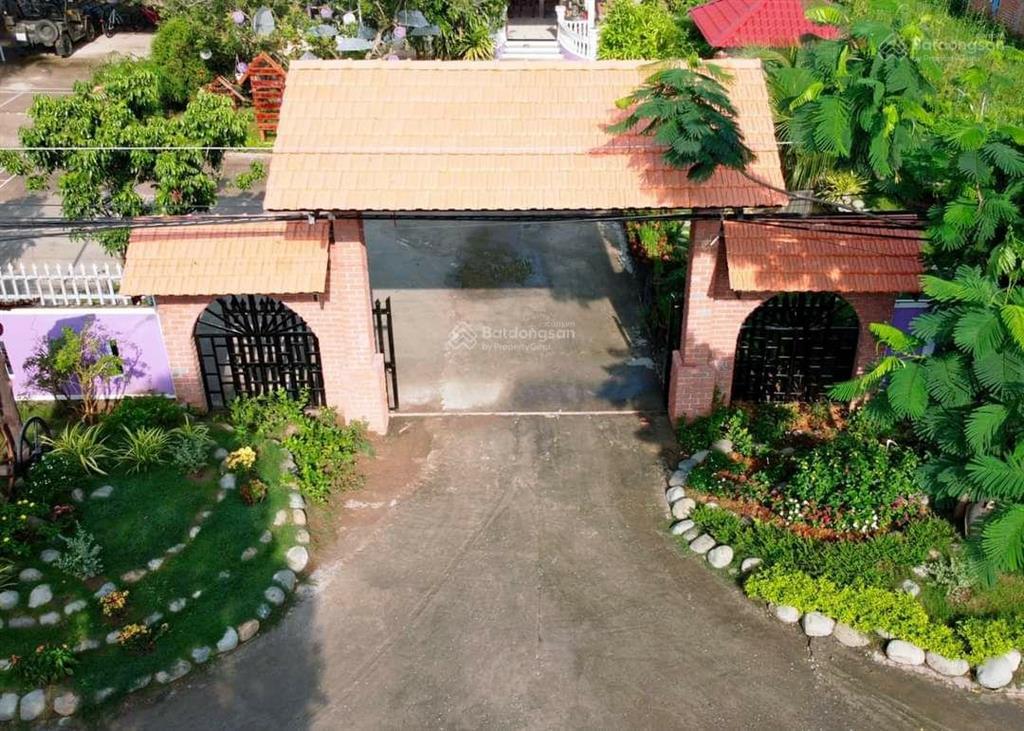 Papa farm riverside khu vườn của ba hạnh phúc cho cả nhà đất vườn mt sông thành triệu 1,2 ha