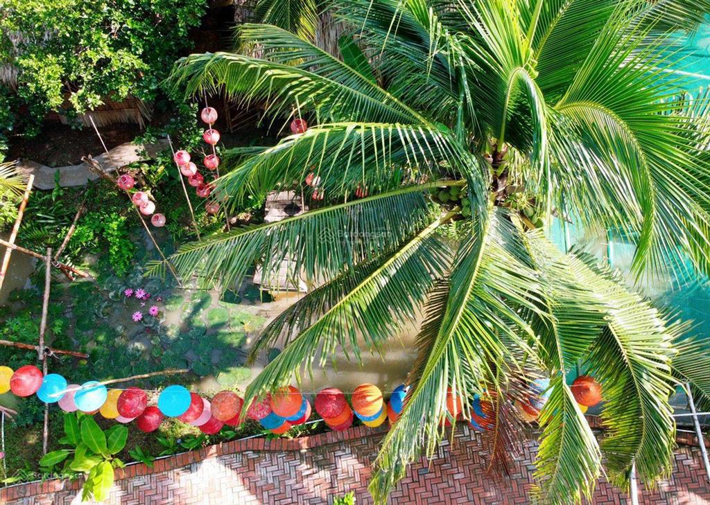 Papa farm riverside khu vườn của ba hạnh phúc cho cả nhà đất vườn mt sông thành triệu 1,2 ha