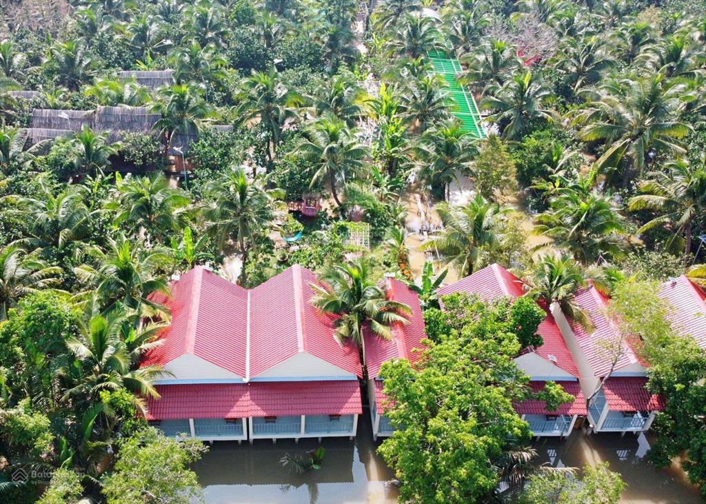 Papa farm riverside khu vườn của ba hạnh phúc cho cả nhà đất vườn mt sông thành triệu 1,2 ha