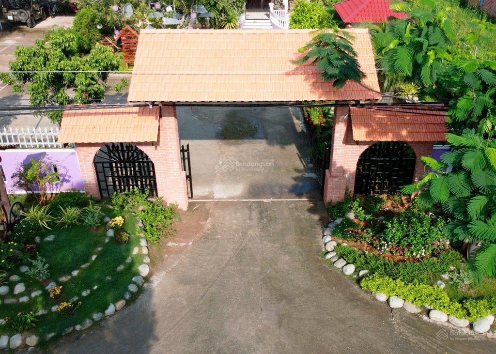 Papa farm riverside khu vườn của ba hạnh phúc cho cả nhà đất vườn mt sông thành triệu 1,2 ha