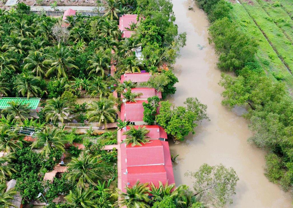Papa farm riverside khu vườn của ba hạnh phúc cho cả nhà đất vườn mt sông thành triệu 1,2 ha