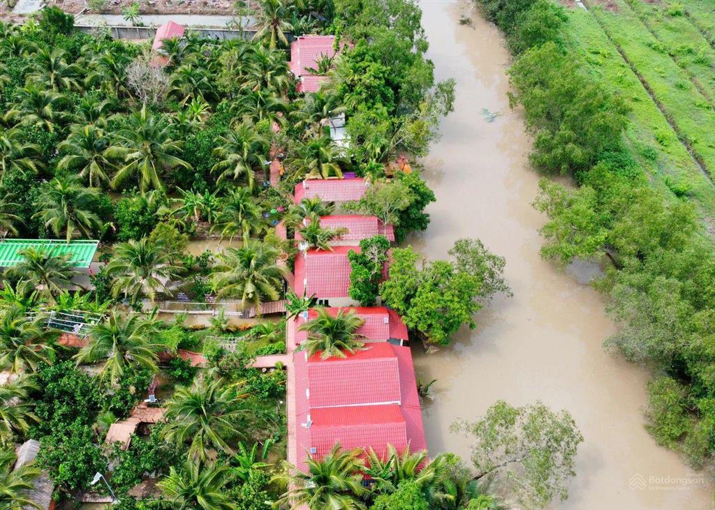 Papa farm riverside khu vườn của ba hạnh phúc cho cả nhà đất vườn mt sông thành triệu 1,2 ha