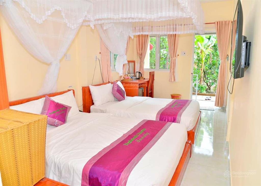 Papa farm riverside khu vườn của ba hạnh phúc cho cả nhà đất vườn mt sông thành triệu 1,2 ha