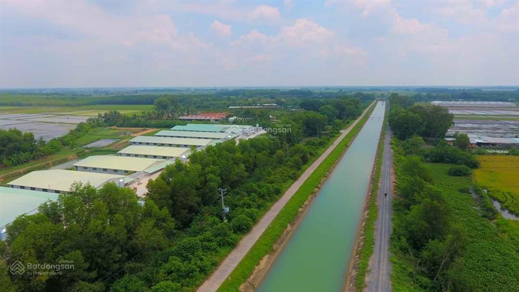 Đất vườn củ chi đất vườn mt kênh n25, giá 1,6 tỷ/1115m2