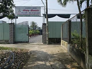 Bán đất đẹp tại hưng long, bình chánh, hồ chí minh, 4 tỷ, 995 m2, nhiều tiện ích. hot