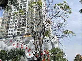 Cần bán căn hộ giai việt tạ quang bửu, p5, q8. dt 115m2, 2 phòng ngủ, 2wc, view thoáng mát