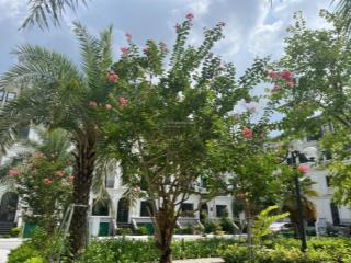 Mới ra căn liền kề a10 nam trung yên giá rẻ hơn thị trường 5  6 tỷ! 0973 032 ***