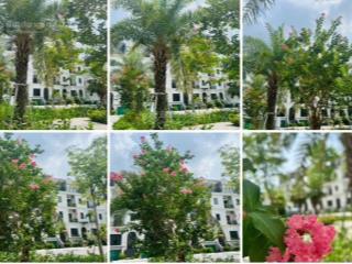 Giá liền kề trong tây hồ tây ngang giá căn hộ.  0973 032 ***