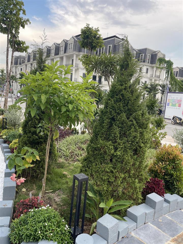 Hàng mới nguồn kín! ra căn 150m2 xẻ khe 3 mặt thoáng dự án jade square giá rẻ nhất dự án