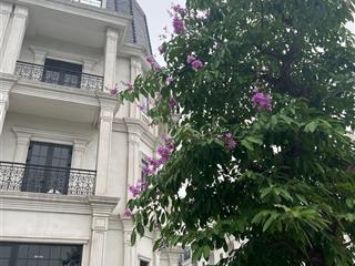 Bán căn shophouse mặt ngoài dự án jade square 3 mặt thoáng! diện tích 200m2 giá 50 tỷ