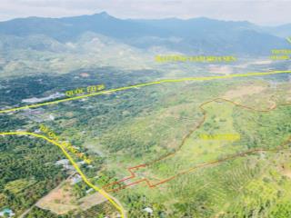 Đi định cư bán trang trại tâm huyết 90.000m2 đất mặt tiền đường đông anh, hà lâm, giá 25 tỉ