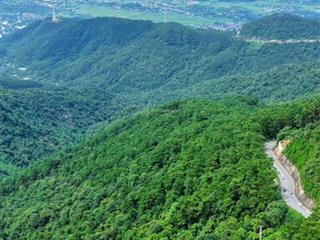 Bán 220m đất khu du lịch nghỉ mát tam đảo, vĩnh phúc, sổ lâu dài, view thung lũng, giá 12 tỷ