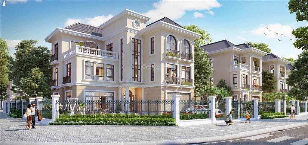 Quỹ căn vin đan phượng cực hot giá tốt nhất thị trường