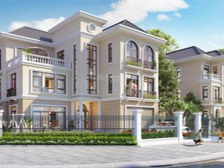 Quỹ căn vin đan phượng cực hot  giá tốt nhất thị trường