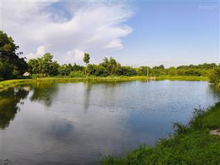 Bán nhanh 1000m2 mặt tiền 30m view hồ, vị trí đẹp, giá chưa đến 10tr/m2