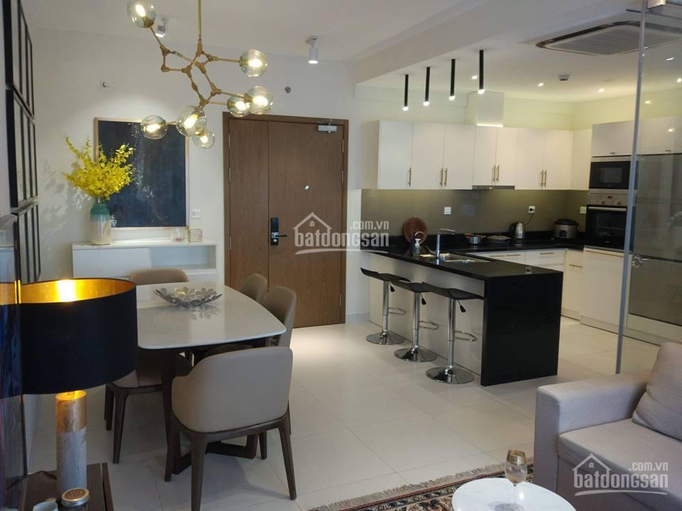 Cho thuê căn hộ cao cấp view sông diamond lotus riverside 9tr, 1pn.  0919 961 ***
