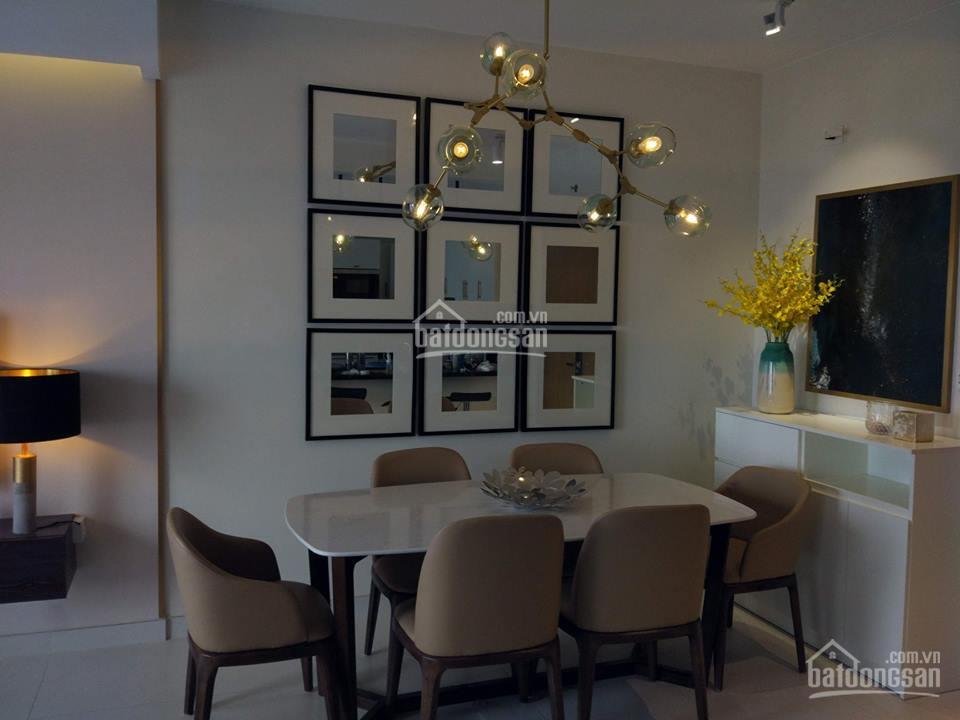 Cho thuê căn hộ cao cấp view sông diamond lotus riverside 9tr, 1pn.  0919 961 ***