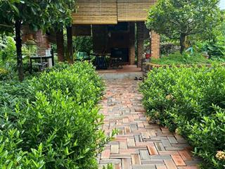 Bán trang trại, khu nghỉ dưỡng giá cực chất tại mỹ khánh, phong điền, cần thơ, 4,99 tỷ, 1450m2