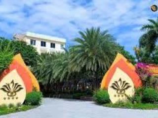 Bán đất 1110.5m2 mặt tiền trần văn giàu, khu nhà giàu cồn khương, p cái khế, tp cần thơ