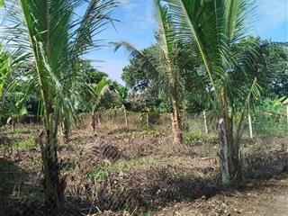 Bán đất khu dân cư 401m2 chi 540 trieu tại thôn suối sâu xã khánh đông  khánh vĩnh