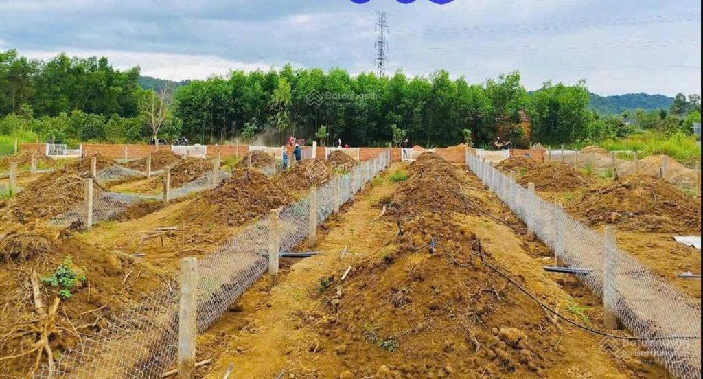 Đất thổ cư 300m2 cách sg khoảng 2h sau khi cao tốc hoàn thành (dự kiến 2027)