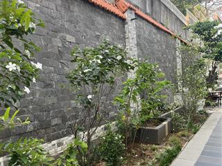 Cho thuê căn hộ mặt tiền võ thị sáu, p2, tp. vt, giá 7triệu500/tháng  0909 525 *** ms. nga