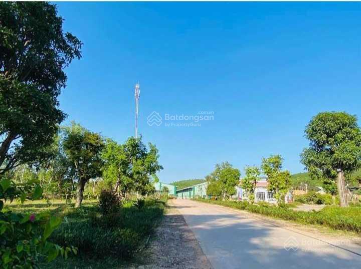 Cho thuê xưởng 6000m2 cụm cn nhơn tân, an nhơn, bình định