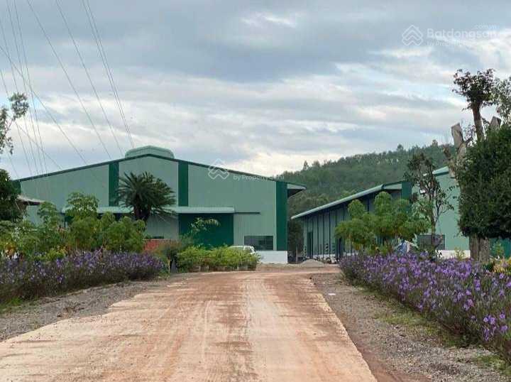 Cho thuê xưởng 6000m2 cụm cn nhơn tân, an nhơn, bình định