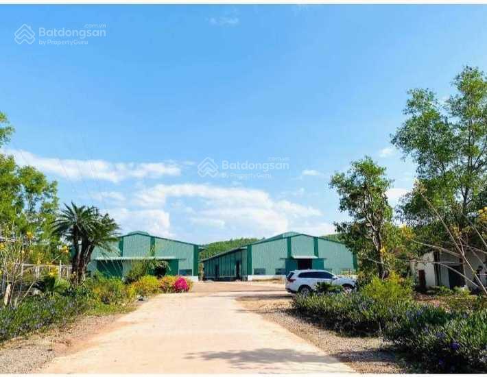 Cho thuê xưởng 6000m2 cụm cn nhơn tân, an nhơn, bình định