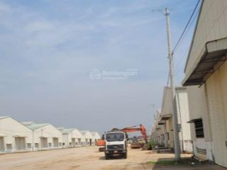 Cho thuê kho cụm cn nhơn tân bình định 5000m2, 10.000m2, 20.000m2