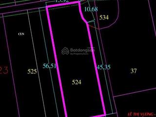 Hơn 1.000m2 khu dân cư (phù hợp lên đất ở) mt đường thông 811 đất sạch, có sẵn vườn trái cây