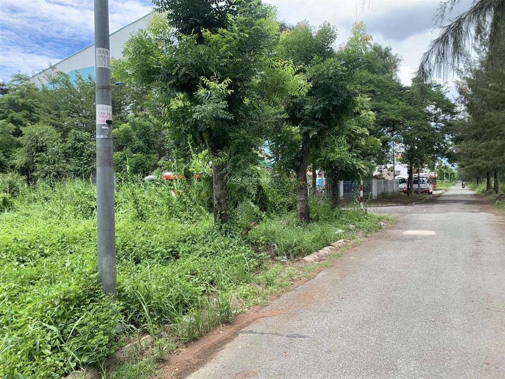 Bán đất 95m2(5 x 19)đ vành đai trong, kdc 13c(greenlife) sổ cn phong phú, bc giá 6tỷ500 tl
