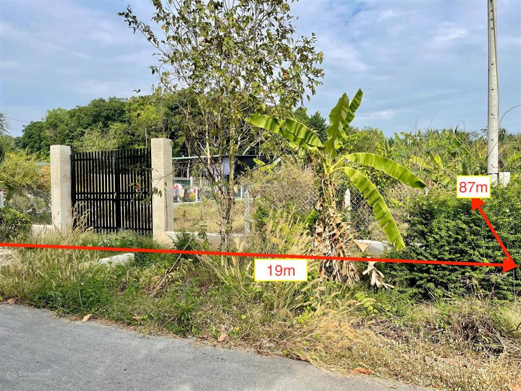 Bán đất xã thái mỹ củ chi mặt tiền phạm thị liền 1640m2 thổ 93,4m2. giá bán 6 tỷ 500 triệu có bớt