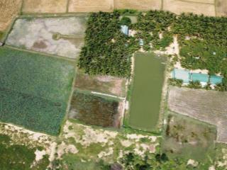 Cần nhượng lại mảnh vườn tâm đắc 1,6ha với vườn dừa,ao cá, hồ sen