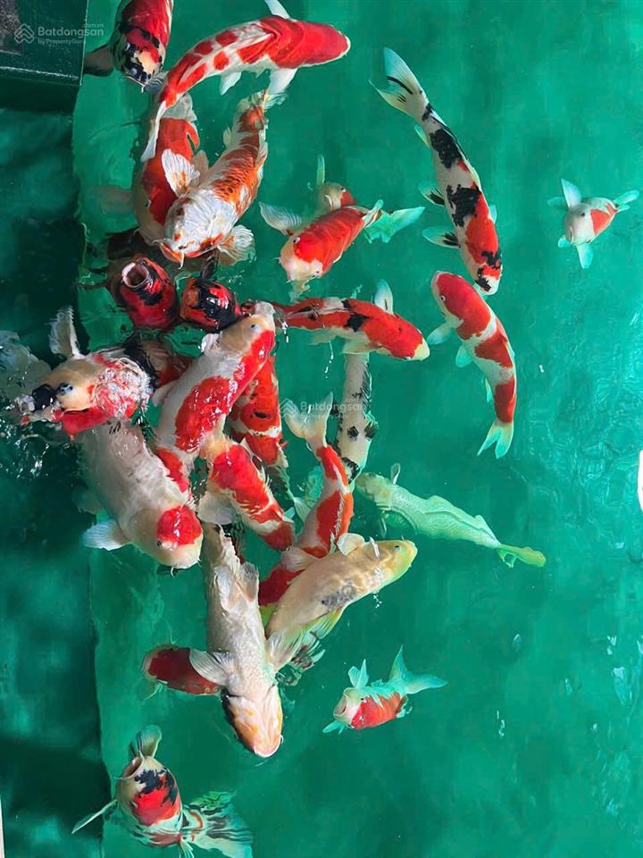 D1mension bán căn 3pn đầy đủ nội thất, đã có sổ. giá bán lỗ. chỉ 10.5 tỉ