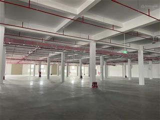 Chính chủ bán kho, nhà xưởng 4600m2 tại tỉnh lộ 823, đức hòa, long an, 60 tỷ vnd