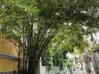 Biệt thự sân vườn giữa lòng trung tâm quận 3, dt 8 x 23m, công nhận 180m2 đất, giá bán 44 tỷ