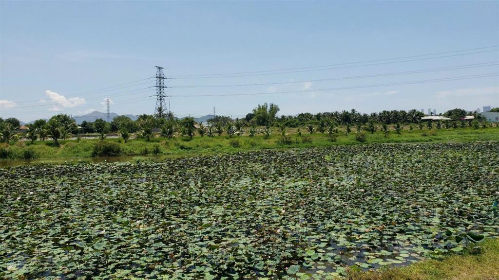 Bán đất 1992.4m2 sát cầu sông tắc, view sông, đường võ nguyên giápvĩnh trung nha trang (8tr/m2)