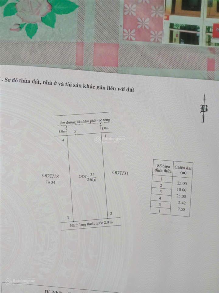 Bán đất 250m2 khu phố đồng mát, tân an giá đầu tư đón sóng dự án hạ long xanh