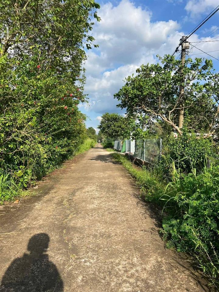 Nền thổ cư tại xuân quế, đồng nai, 990tr, 160m2