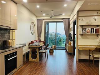 Chính chủ cần bán căn 1n+ phân khu h2 rẻ nhất thị trường vinhomes ocen park 1