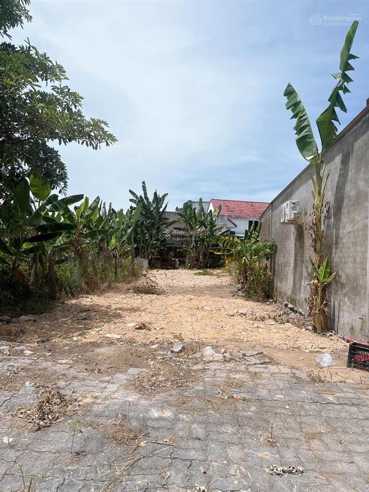 Chính chủ bán lô đất đẹp hòa liên 4, đối diện chợ, 125m², tiện kinh doanh buôn bán, chỉ 2.560tỷ