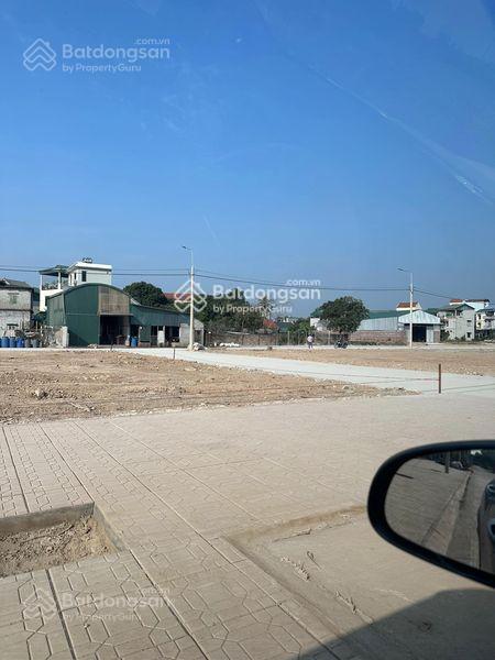 Chính chủ bán đất đấu giá lô t8 khu đồng ngà hương ngải, thạch thất, hà nội, 150m2, 42tr/m2
